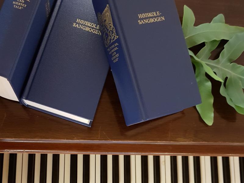 Fællessang i InSide